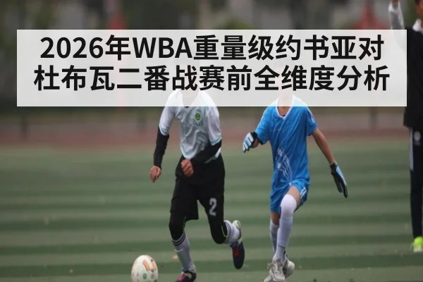 2026年WBA重量级约书亚对杜布瓦二番战赛前全维度分析 | kaiyun app